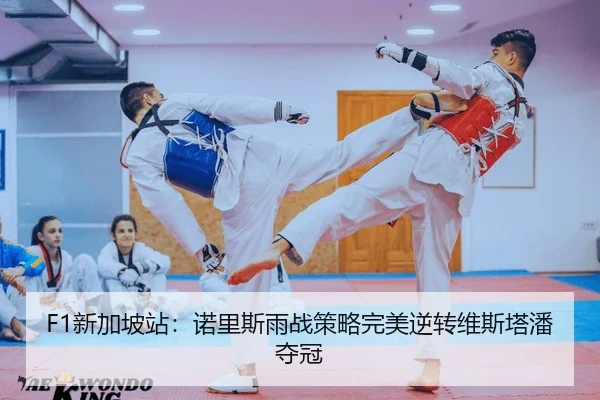 xin-jia-po-zhan-nuo-li-si-yu-zhan-ce-lve-wan-mei-ni-zhuan-wei-si-ta-pan-duo-guan-2-715.jpg